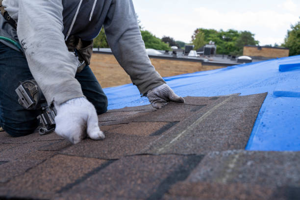 Best Storm Damage Roof Repair  in Bear Creek, AL